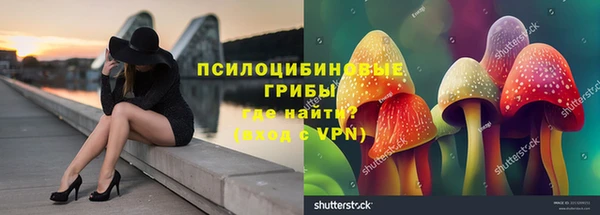 ПСИЛОЦИБИНОВЫЕ ГРИБЫ Саяногорск