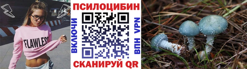 Псилоцибиновые грибы прущие грибы Хилок